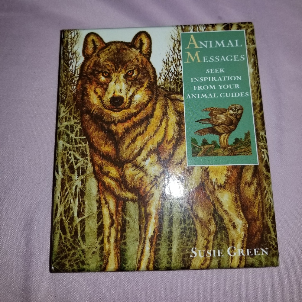 Animal guide cards